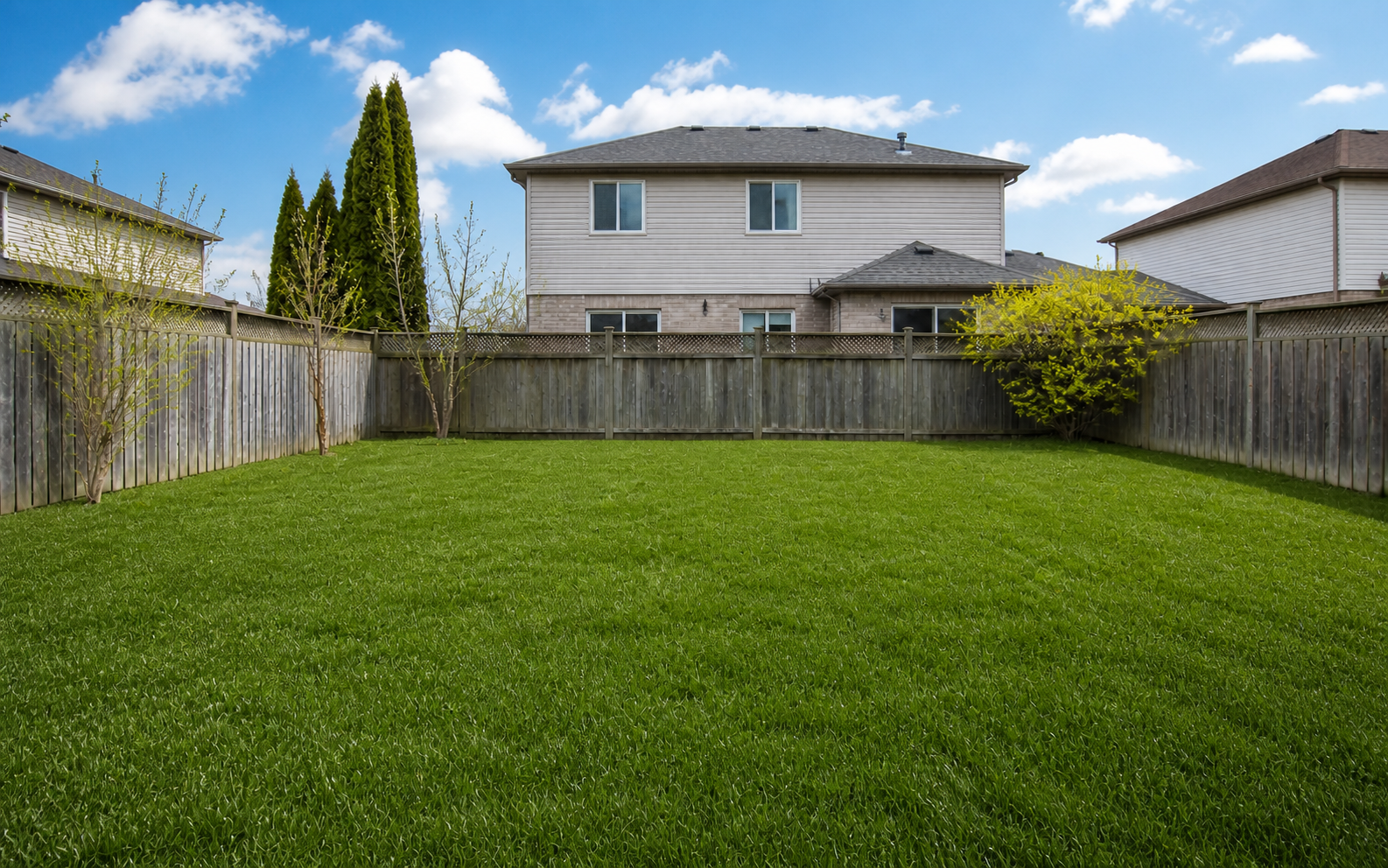 Finished lawn