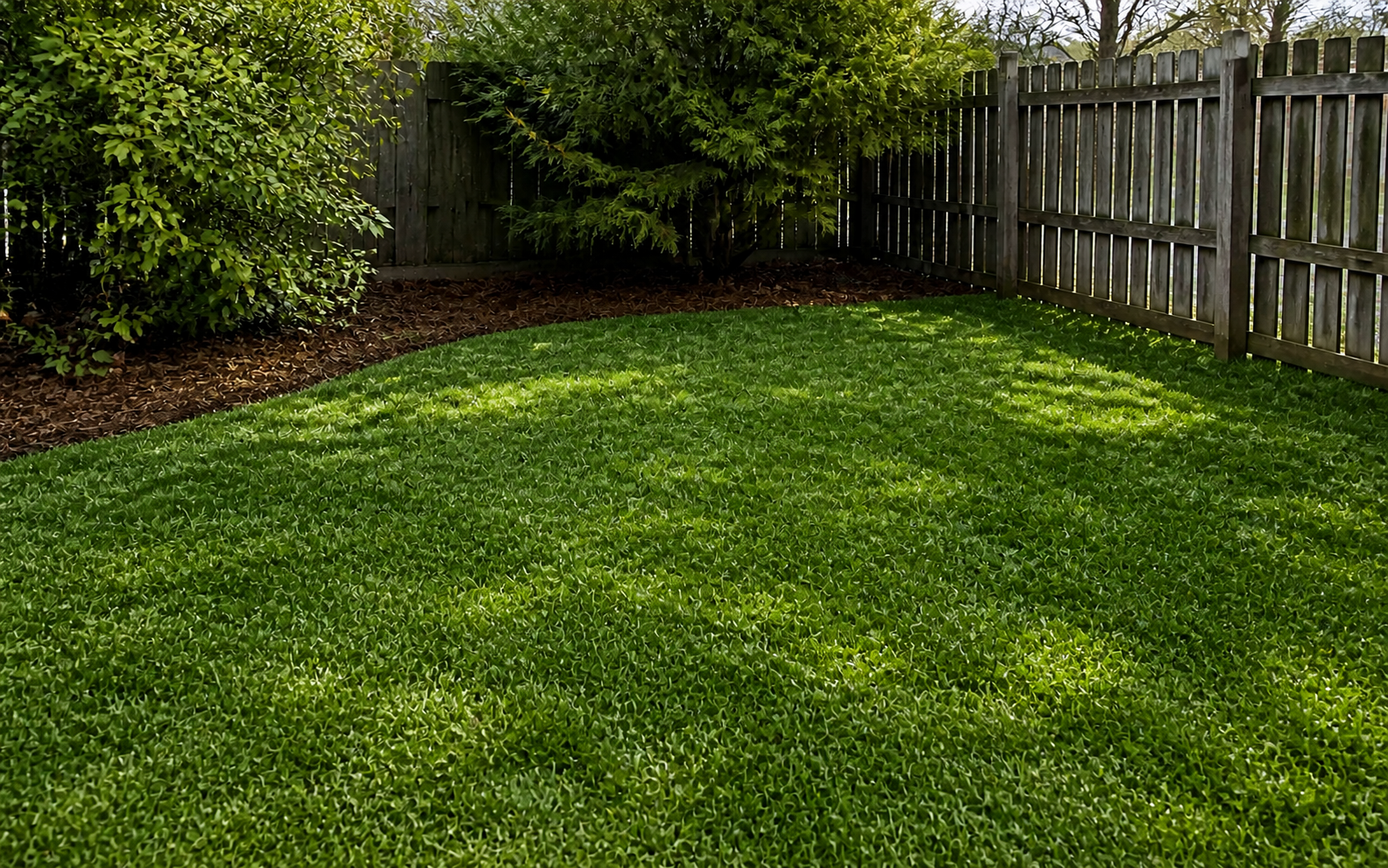 Concession 7, Nobleton lawn — after