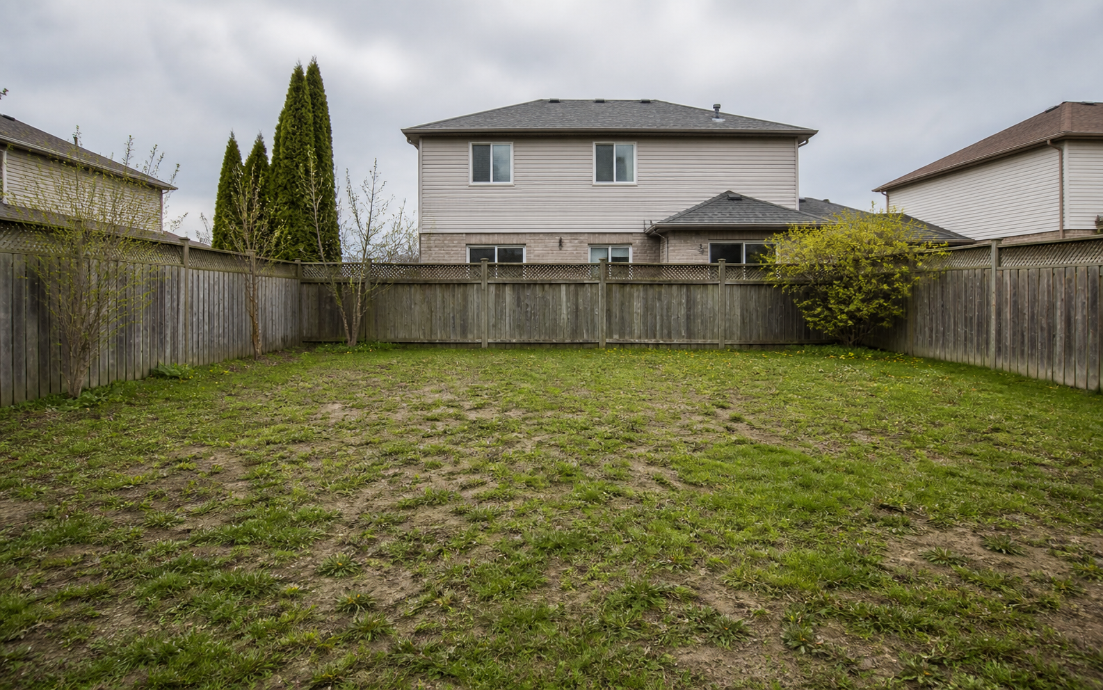 Lawn before and after one season — before