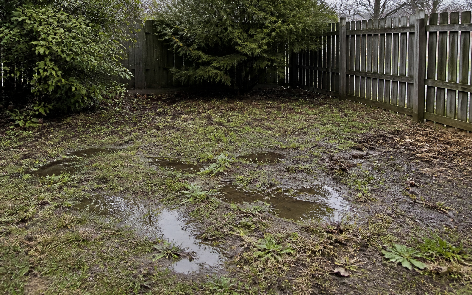 Concession 7, Nobleton lawn — before