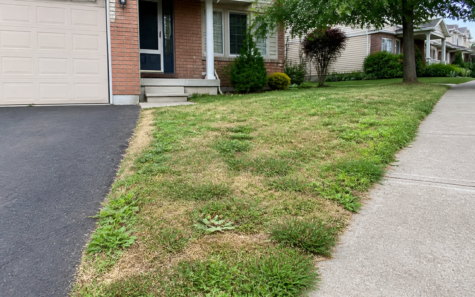 Oak Street, Schomberg lawn — before